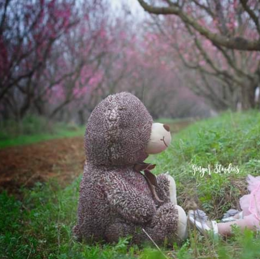 Meet your Posher, Vicki